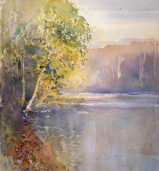 Berken op Reservaat De Maat B42xH46